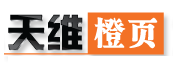 Skykiwi OPage Logo